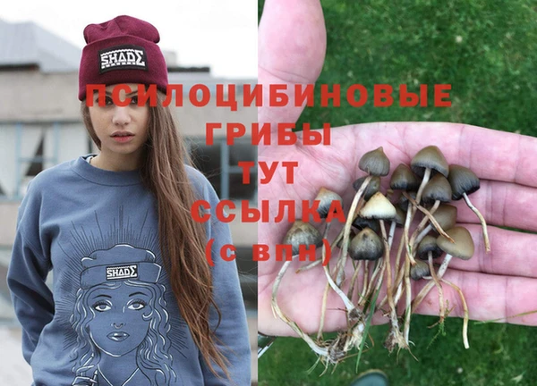 spice Волоколамск