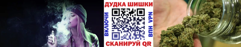 Марихуана сатива  Печора 
